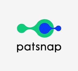 PatSnap-1